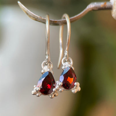 AZOLLA II GARNET