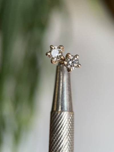 MAGIC HOUR VIII CHAMPAGNE DIAMOND
